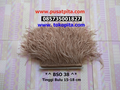 large2 BSO 38